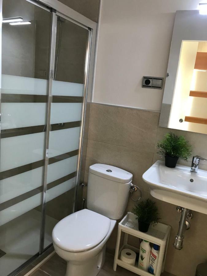 Apartamentos Centro Málaga Dış mekan fotoğraf